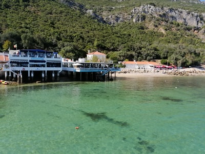 During the day, white and blue boat is sailing on the surface of the trees beside the waters
